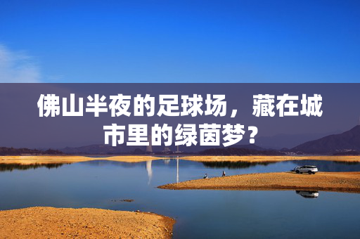 佛山半夜的足球场，藏在城市里的绿茵梦？
