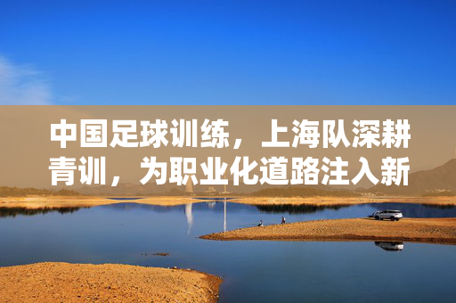 中国足球训练，上海队深耕青训，为职业化道路注入新活力