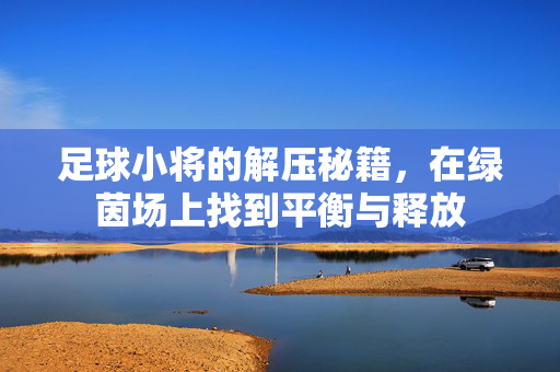 足球小将的解压秘籍，在绿茵场上找到平衡与释放