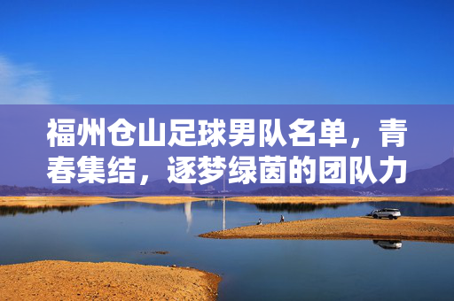 福州仓山足球男队名单，青春集结，逐梦绿茵的团队力量，福州仓山足球男队名单，青春集结，逐梦绿茵的团队力量