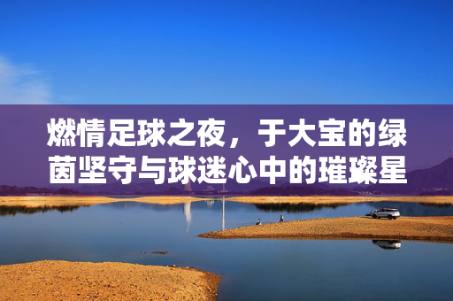 燃情足球之夜，于大宝的绿茵坚守与球迷心中的璀璨星光，燃情足球之夜，于大宝的绿茵坚守与球迷心中的璀璨星光