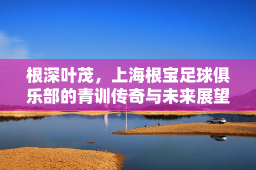 根深叶茂，上海根宝足球俱乐部的青训传奇与未来展望