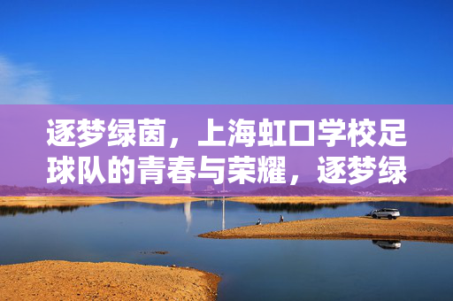 逐梦绿茵，上海虹口学校足球队的青春与荣耀，逐梦绿茵，上海虹口学校足球队的青春与荣耀