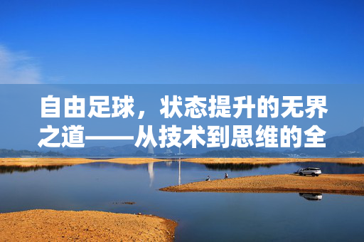 自由足球，状态提升的无界之道——从技术到思维的全面跃升，自由足球，状态提升的无界之道——从技术到思维的全面跃升