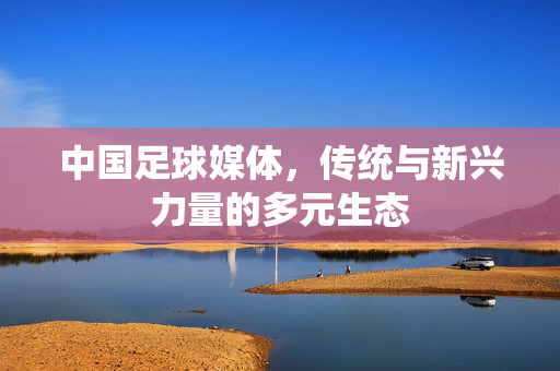 中国足球媒体，传统与新兴力量的多元生态