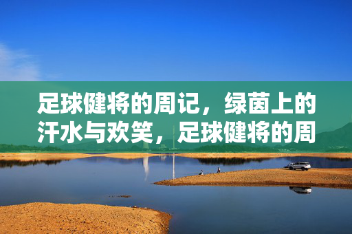 足球健将的周记，绿茵上的汗水与欢笑，足球健将的周记，绿茵上的汗水与欢笑