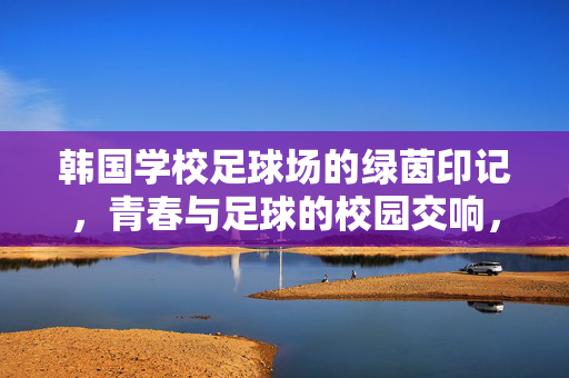 韩国学校足球场的绿茵印记，青春与足球的校园交响，韩国校园足球场的绿茵印记，青春与足球的校园交响