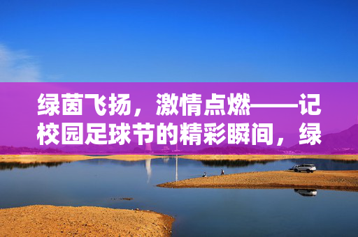 绿茵飞扬，激情点燃——记校园足球节的精彩瞬间，绿茵飞扬，激情点燃——记校园足球节的精彩瞬间