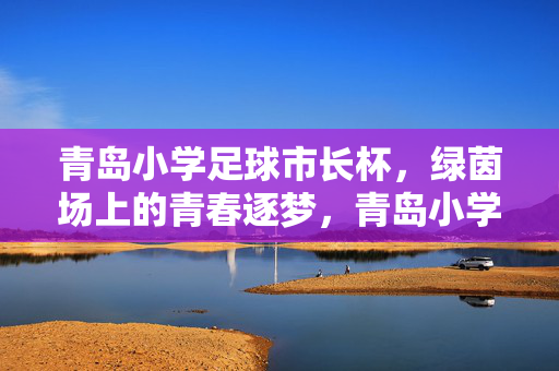青岛小学足球市长杯，绿茵场上的青春逐梦，青岛小学足球市长杯，绿茵场上的青春逐梦