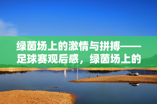 绿茵场上的激情与拼搏——足球赛观后感，绿茵场上的激情与拼搏——足球赛观后感