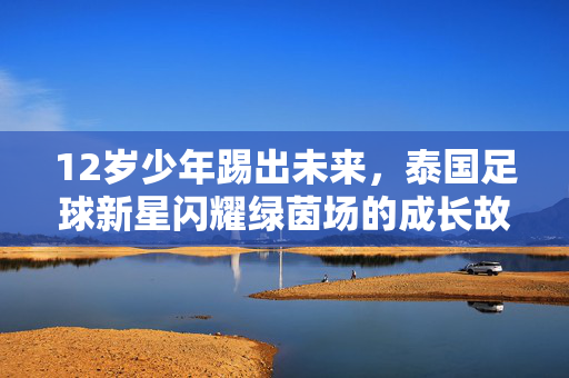 12岁少年踢出未来，泰国足球新星闪耀绿茵场的成长故事，12岁少年踢出未来，泰国足球新星闪耀绿茵场的成长故事