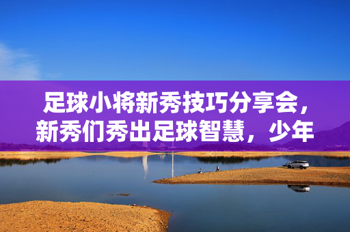 足球小将新秀技巧分享会，新秀们秀出足球智慧，少年们悟得场上真谛，足球小将新秀技巧分享会，新秀秀出足球智慧，少年悟得场上真谛