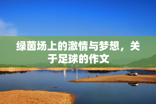 绿茵场上的激情与梦想，关于足球的作文
