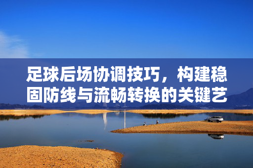 足球后场协调技巧，构建稳固防线与流畅转换的关键艺术，足球后场协调技巧，构建稳固防线与流畅转换的关键艺术