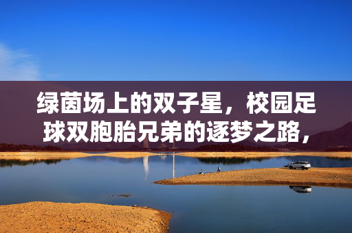 绿茵场上的双子星，校园足球双胞胎兄弟的逐梦之路，绿茵场上的双子星，校园足球双胞胎兄弟的逐梦之路