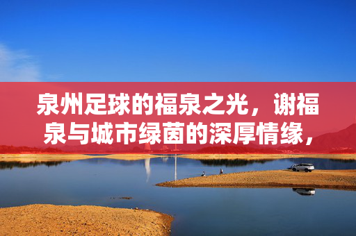 泉州足球的福泉之光，谢福泉与城市绿茵的深厚情缘，泉州足球的福泉之光，谢福泉与城市绿茵的深厚情缘