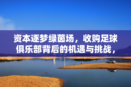 资本逐梦绿茵场，收购足球俱乐部背后的机遇与挑战，资本逐梦绿茵场，收购足球俱乐部背后的机遇与挑战