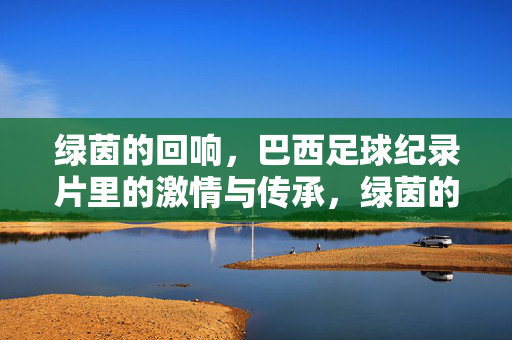 绿茵的回响，巴西足球纪录片里的激情与传承，绿茵的回响，巴西足球纪录片里的激情与传承