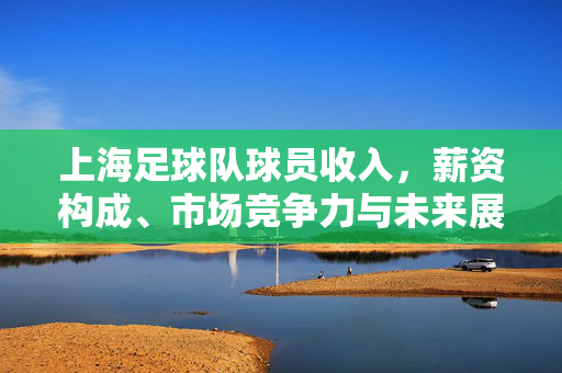 上海足球队球员收入，薪资构成、市场竞争力与未来展望