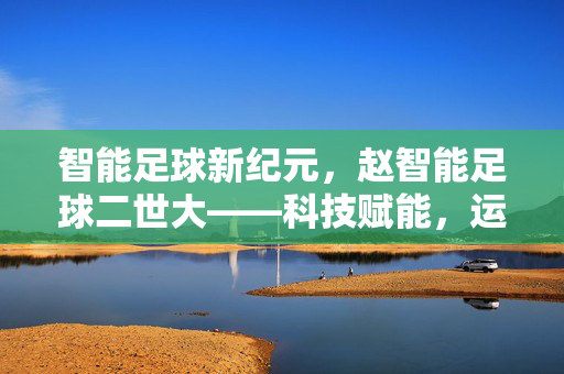智能足球新纪元，赵智能足球二世大——科技赋能，运动与智慧的完美融合