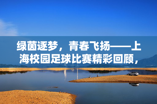 绿茵逐梦，青春飞扬——上海校园足球比赛精彩回顾，绿茵逐梦，青春飞扬——上海校园足球比赛精彩回顾