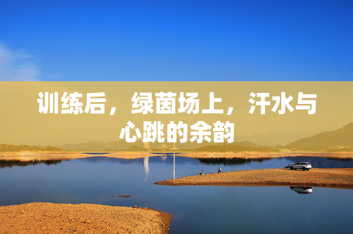 训练后，绿茵场上，汗水与心跳的余韵