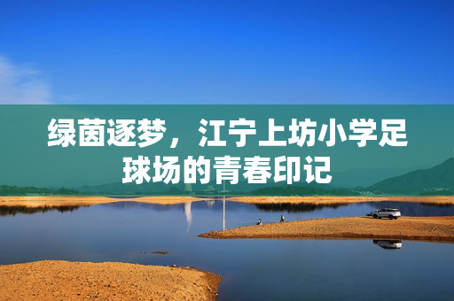 绿茵逐梦，江宁上坊小学足球场的青春印记