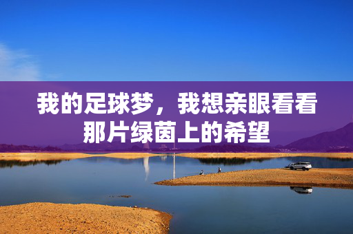 我的足球梦，我想亲眼看看那片绿茵上的希望