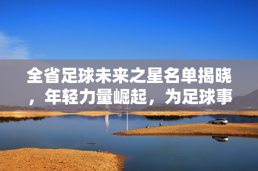 全省足球未来之星名单揭晓，年轻力量崛起，为足球事业注入新活力
