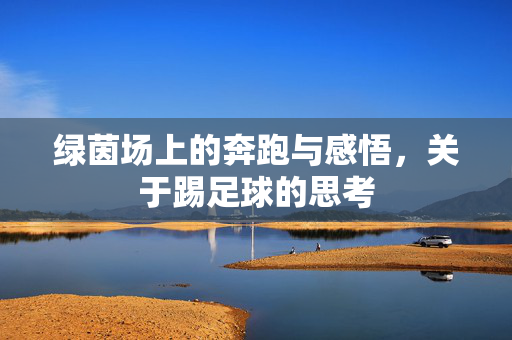 绿茵场上的奔跑与感悟，关于踢足球的思考