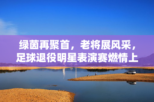 绿茵再聚首，老将展风采，足球退役明星表演赛燃情上演，绿茵再聚首，老将展风采，足球退役明星表演赛燃情上演