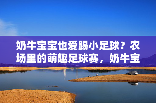 奶牛宝宝也爱踢小足球?农场里的萌趣足球赛,奶牛宝宝也爱踢小足球?农场里的萌趣足球赛