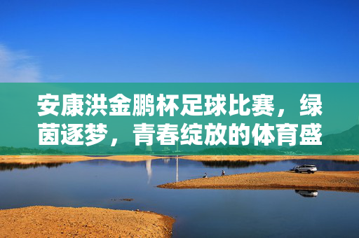 安康洪金鹏杯足球比赛，绿茵逐梦，青春绽放的体育盛宴，安康洪金鹏杯足球比赛，绿茵逐梦，青春绽放的体育盛宴