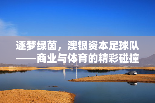 逐梦绿茵，澳银资本足球队——商业与体育的精彩碰撞