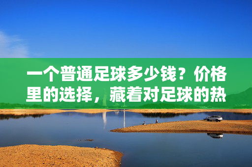 一个普通足球多少钱？价格里的选择，藏着对足球的热爱，一个普通足球多少钱？价格里的选择，藏着对足球的热爱