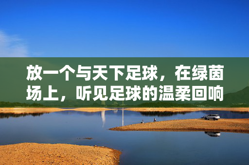 放一个与天下足球，在绿茵场上，听见足球的温柔回响，天下足球，在绿茵场上听见足球的温柔回响