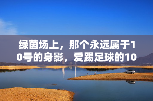 绿茵场上，那个永远属于10号的身影，爱踢足球的10号