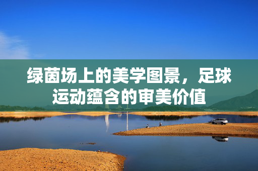 绿茵场上的美学图景，足球运动蕴含的审美价值