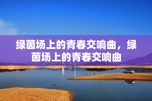 绿茵场上的青春交响曲，绿茵场上的青春交响曲