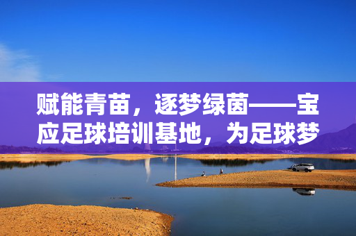 赋能青苗，逐梦绿茵——宝应足球培训基地，为足球梦想注入活力与希望