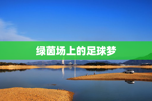 绿茵场上的足球梦