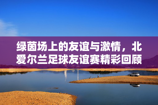 绿茵场上的友谊与激情，北爱尔兰足球友谊赛精彩回顾，绿茵场上的友谊与激情，北爱尔兰足球友谊赛精彩回顾