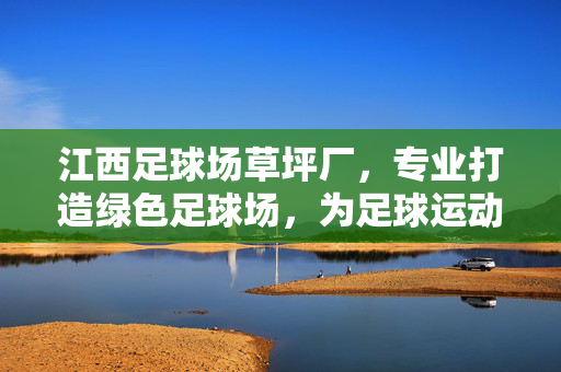 江西足球场草坪厂，专业打造绿色足球场，为足球运动添活力