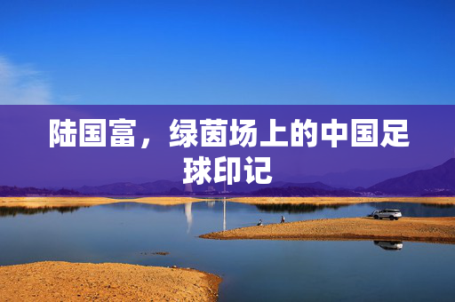 陆国富，绿茵场上的中国足球印记