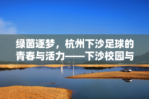 绿茵逐梦，杭州下沙足球的青春与活力——下沙校园与社区的足球文化图景