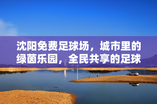 沈阳免费足球场，城市里的绿茵乐园，全民共享的足球狂欢地，沈阳免费足球场，城市里的绿茵乐园，全民共享的足球狂欢地