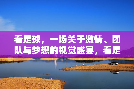 看足球，一场关于激情、团队与梦想的视觉盛宴，看足球，一场关于激情、团队与梦想的视觉盛宴