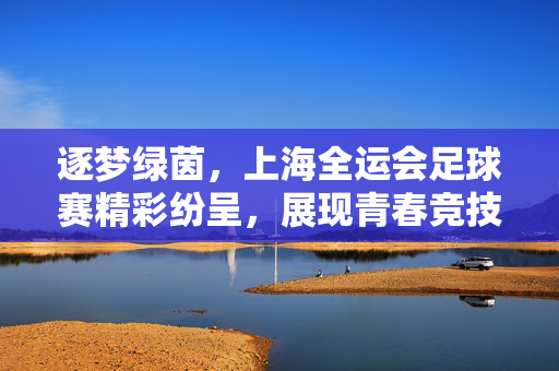 逐梦绿茵，上海全运会足球赛精彩纷呈，展现青春竞技与城市活力，逐梦绿茵，上海全运会足球赛精彩纷呈，展现青春竞技与城市活力