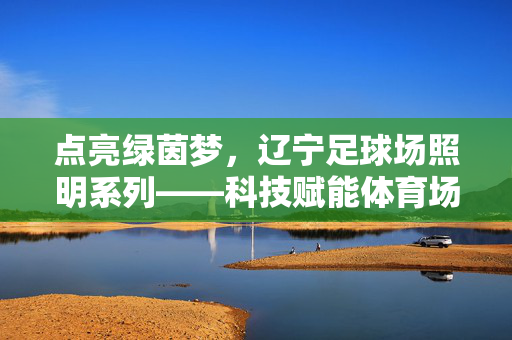 点亮绿茵梦，辽宁足球场照明系列——科技赋能体育场馆，为激情赛场注入璀璨光华，点亮绿茵梦，辽宁足球场照明系列——科技赋能体育场馆，为激情赛场注入璀璨光华