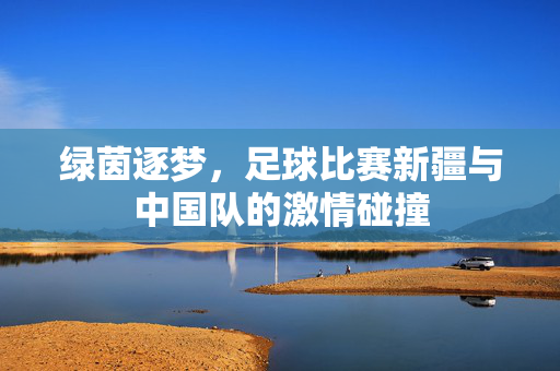 绿茵逐梦，足球比赛新疆与中国队的激情碰撞